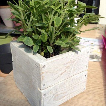 beautiful and elegant Small Pallet planter