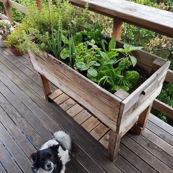 creative ways to upcycle pallets in your garden