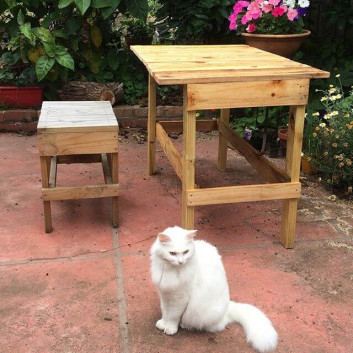 Pallet outdoor table