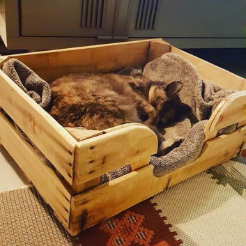 Pallet pet bed