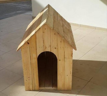 Pallet dog house