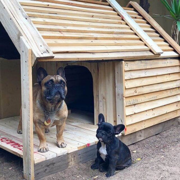 Pallet dog house