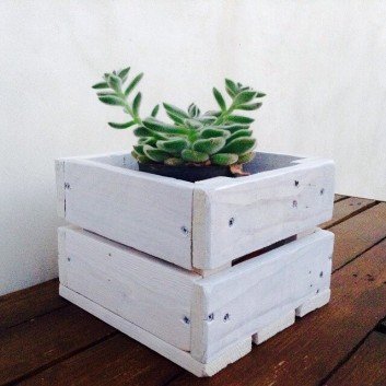 A compact mini DIY pallet planter