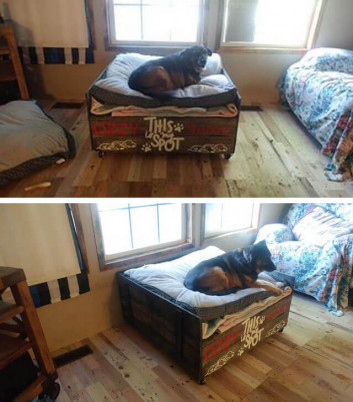 Pallet pet bed