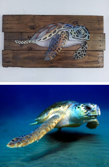 Pallet tortoise wall art