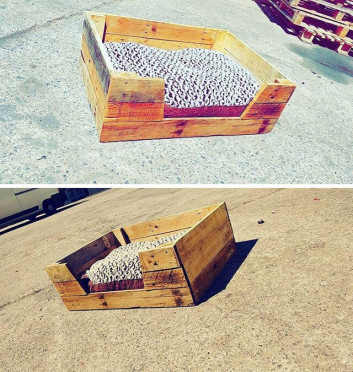 Pallet pet bed