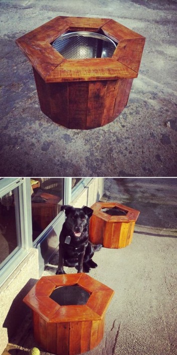 One level up pallet pet project ideas